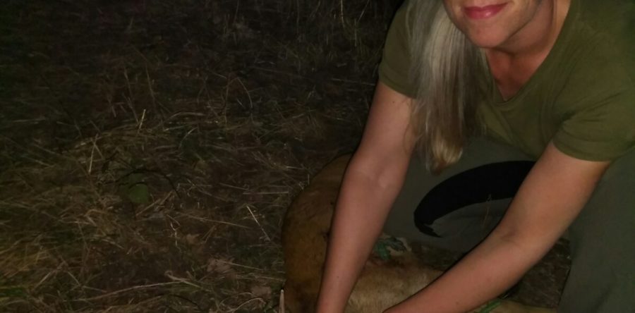 Als ich 2015 bei Hansjörg,